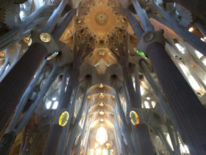 I could spend hours just staring up at this incredible ceiling in Sagrada Familia.